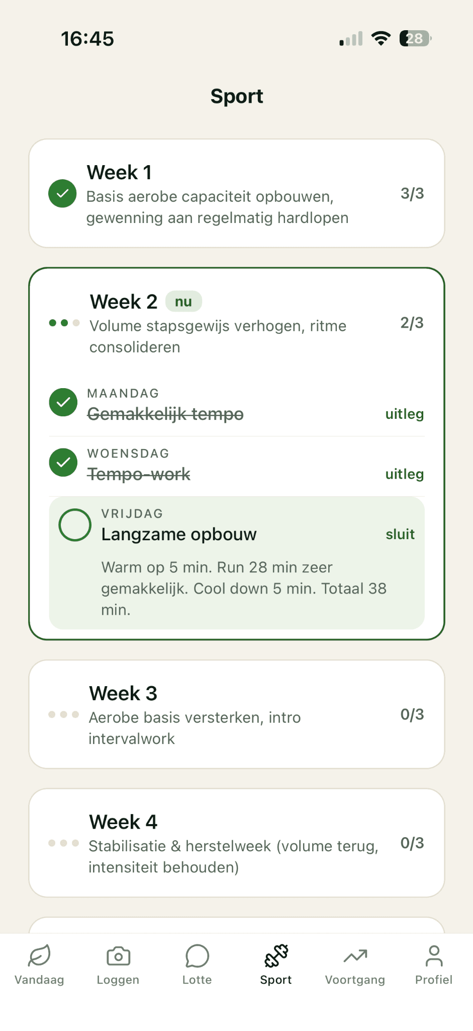 Het echte trainingsschema